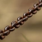 Conteúdo Evergreen: O Guia Definitivo para Rankear no Google e Conquistar Autoridade Duradoura