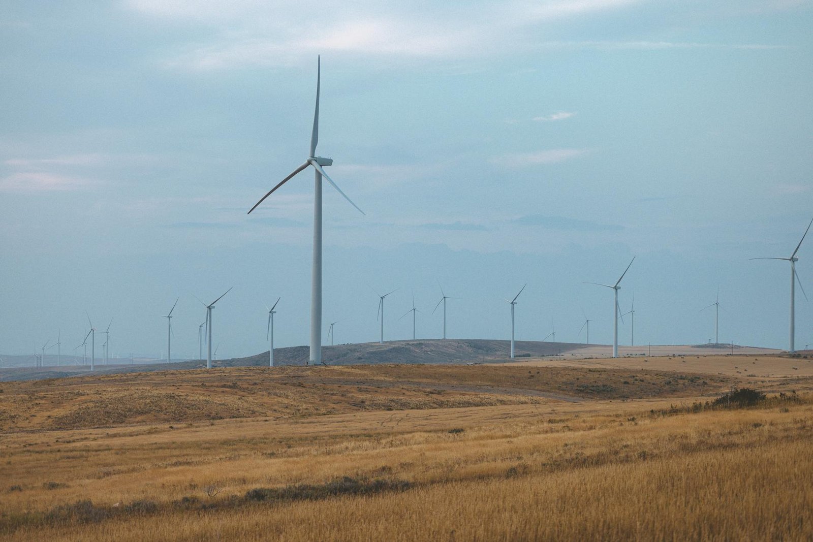 Para como a tecnologia está ajudando a combater as mudanças climáticas, ela oferece soluções cruciais em diversas frentes. De