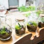 Decoração 2026: As Tendências de Interiores que Definirão o Seu Lar do Futuro