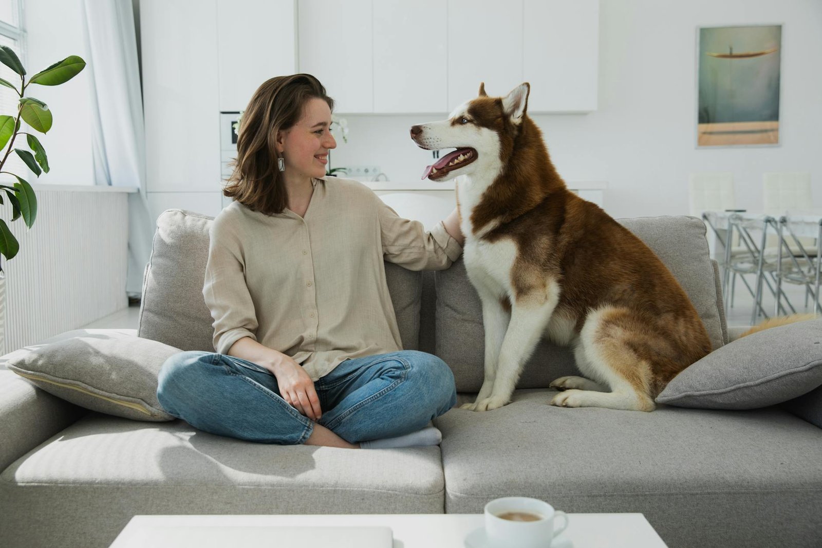 Guia Definitivo: Como Introduzir um Novo Pet em Casa com Outros Animais (Sem Estresse!) — como introduzir um novo pet na casa