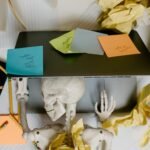 Declutter Essencial: O Guia Definitivo para Organizar Sua Casa e Alcançar a Clareza Mental