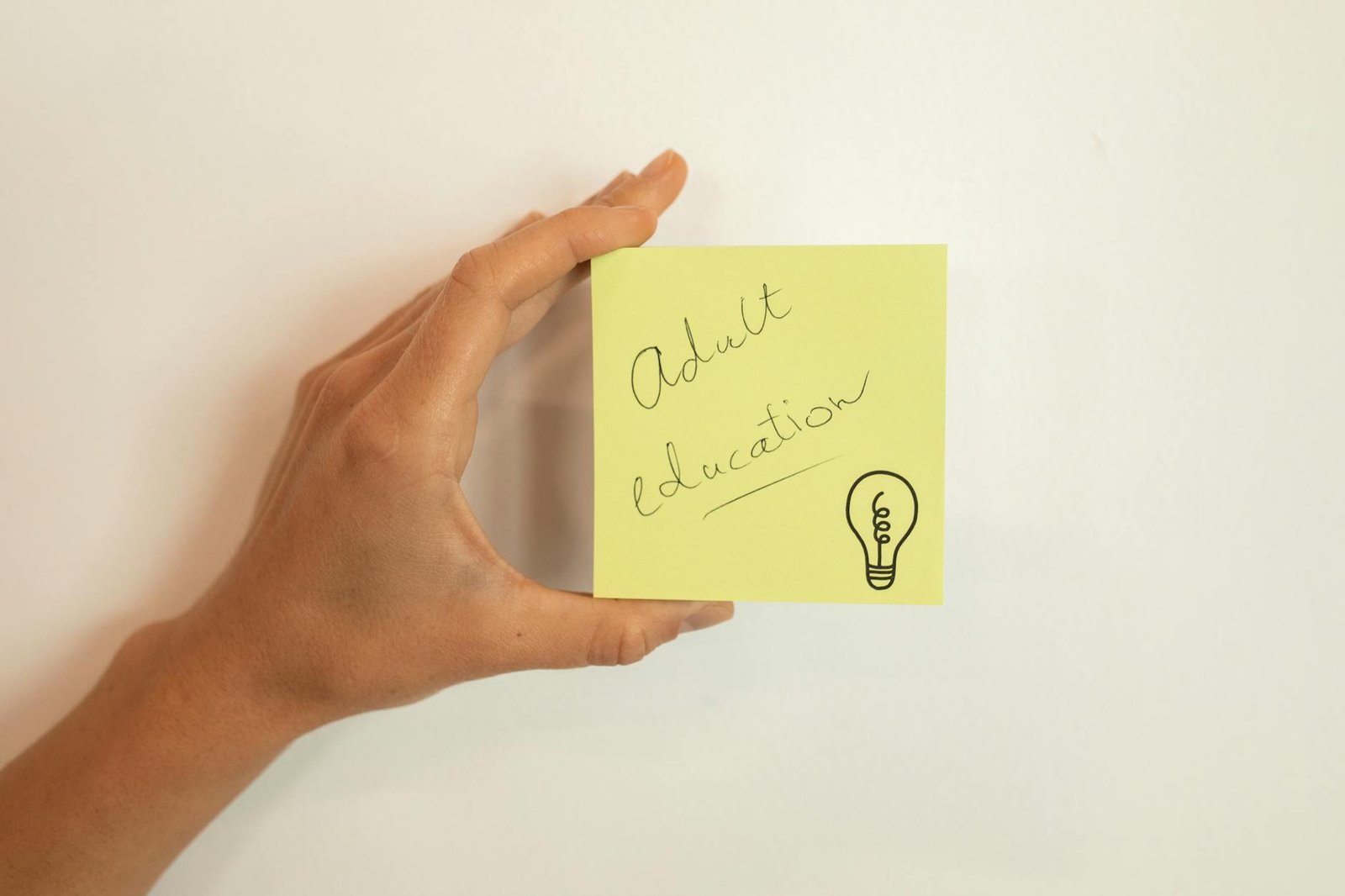 Para curiosidades, explore um vasto leque de informações surpreendentes sobre os mais diversos temas, desde a ciência e histó