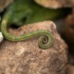 Plano de Negócios Simples e Eficaz: O Guia Definitivo para Empreendedores de Sucesso