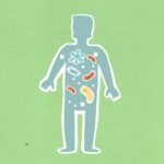 Como criar uma rotina de exercícios sustentável
