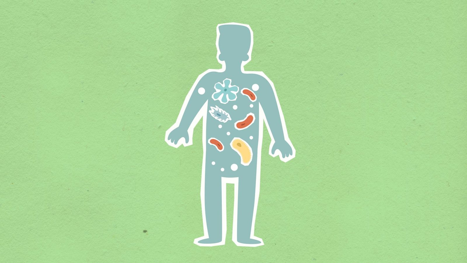Intestino Saudável: Seu Guia Completo para Cuidar da Microbiota Intestinal e Otimizar sua Saúde — intestino saudável como cui