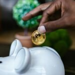 Os benefícios de ter um pet para sua saúde mental e emocional
