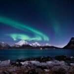 O que é Neuroplasticidade: Guia para Moldar seu Cérebro