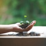 Trabalho Remoto: O Guia Definitivo para Manter a Produtividade e o Foco em Casa