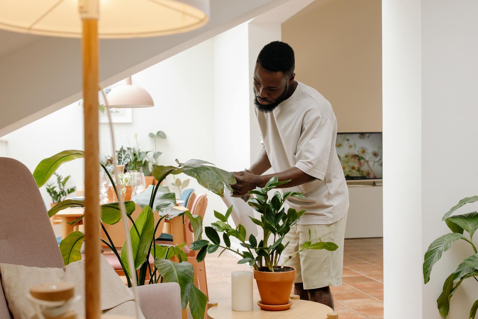 Plantas de Interior Fáceis de Cuidar para Casa: O Guia Definitivo para o Seu Oásis Verde — plantas de interior fáceis de cuid