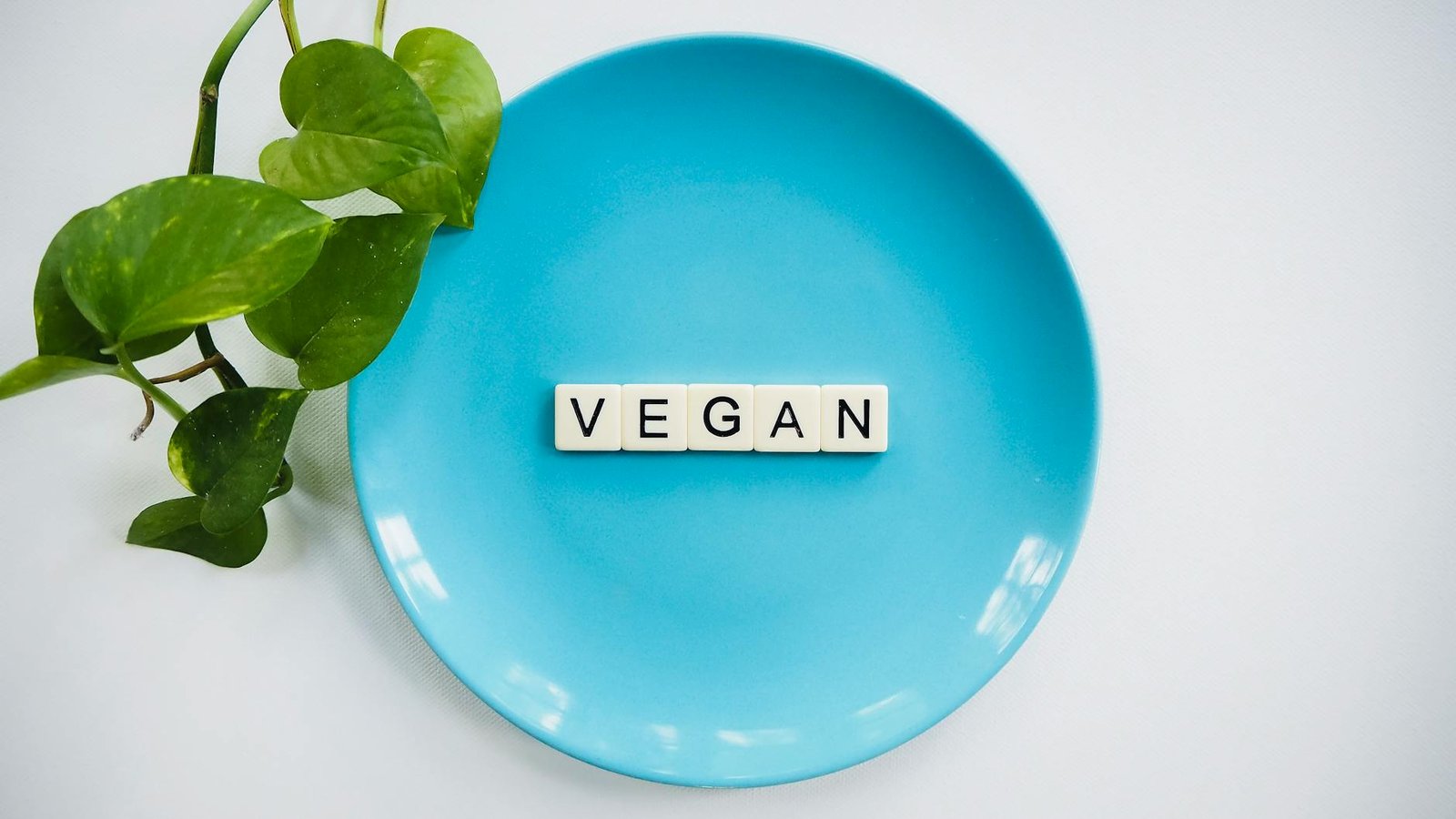 Sabor Vegano Descomplicado: Receitas Simples e Deliciosas para o Seu Dia a Dia — receitas veganas simples e saborosas para o
