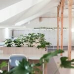 Jardim Vertical em Espaços Pequenos: Guia Definitivo para um Oásis Urbano